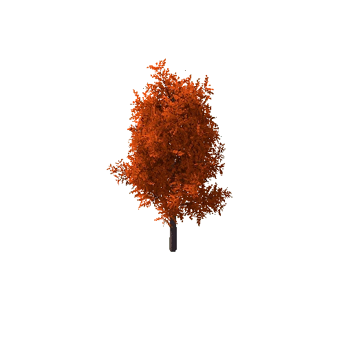 Tree_A Autumn_1